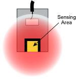 Electric Field